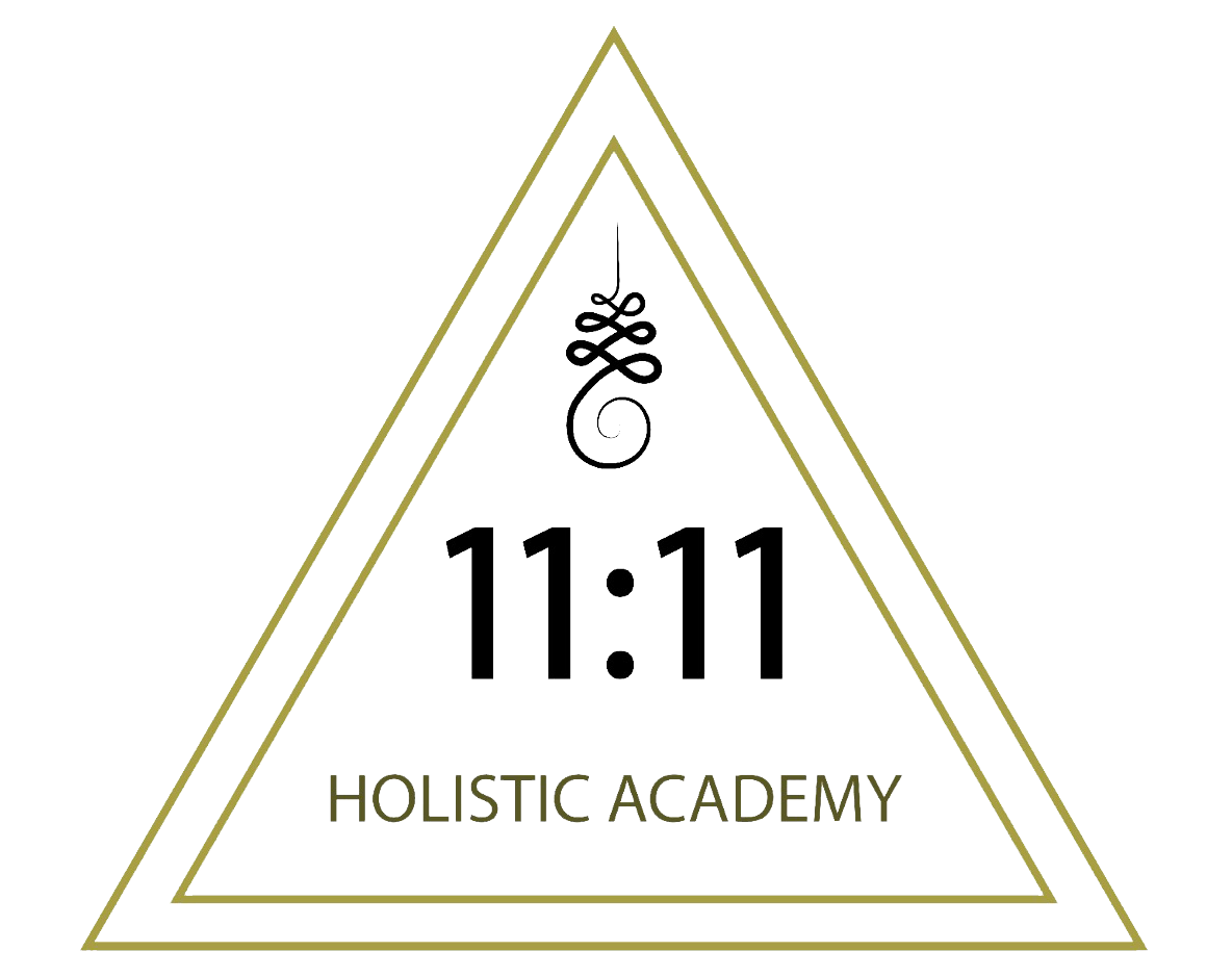 1111holisticacademy logo